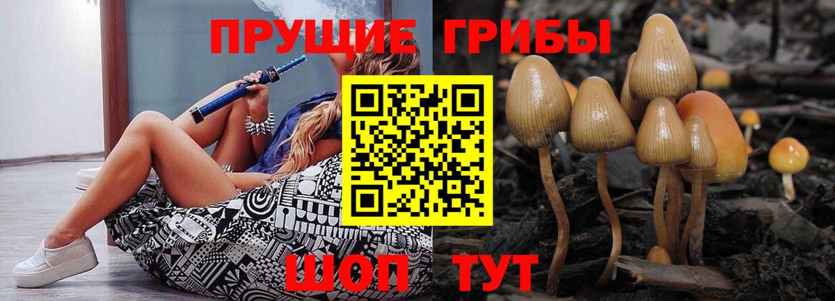 Псилоцибиновые грибы мухоморы  наркотики  Чехов  Вход с VPN 